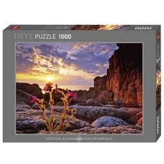 Пазл Heye Edition Humboldt