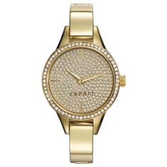 Наручные часы ESPRIT ES109062002