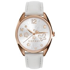 Наручные часы ESPRIT ES108922004