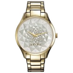 Наручные часы ESPRIT ES109022002