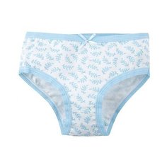 Трусы Bossa Nova