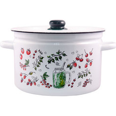 Кастрюля эмалированная 9 л Appetite Compote (1с200с)