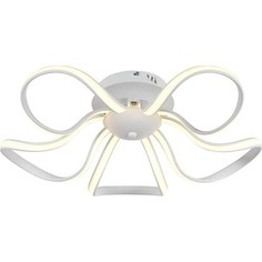 Потолочный светодиодный светильник Arti Lampadari Garda L 1.5.78 W