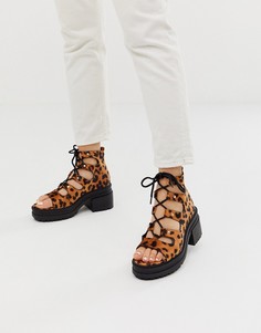 Туфли на среднем каблуке с леопардовым принтом и шнуровкой ASOS DESIGN - Sergio - Мульти