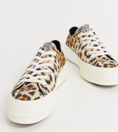 Кеды на платформе с леопардовым принтом Converse Chuck Taylor Ox - Черный