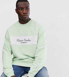 Oversize-свитшот с махровой вставкой и принтом ASOS DESIGN Tall - Зеленый
