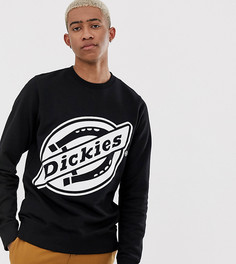 Черный свитшот с логотипом Dickies - Point Comfort - Черный