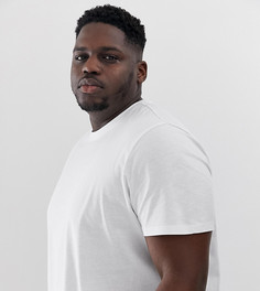 Белая футболка с круглым вырезом New Look Plus - Белый