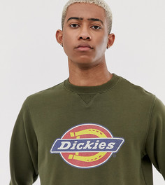 Зеленый свитшот с логотипом Dickies - HS - Зеленый