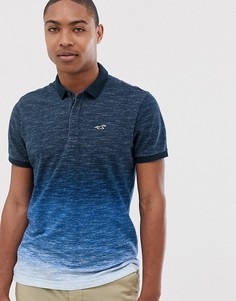 Темно-синее поло с эффектом деграде и логотипом Hollister - Темно-синий