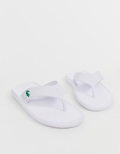 Белые шлепанцы Lacoste - Белый
