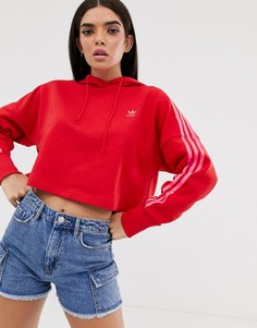 Красный короткий худи adidas Originals adicolor - Красный