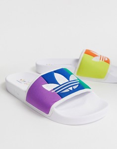 Разноцветные шлепанцы adidas Originals Adilette pride - Мульти