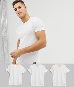 Три белых футболки из органического хлопка Superdry - Белый