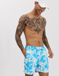 Синие шорты для плавания с пальмовым принтом Tom Tailor - Синий