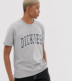 Серая футболка с логотипом Dickies Philomont - Серый
