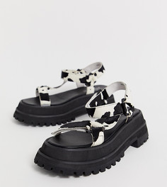 Эксклюзивные сандалии на толстой подошве Jeffrey Campbell Panorama - Мульти
