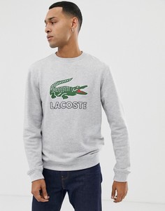 Серый свитшот с круглым вырезом и логотипом Lacoste - Серый