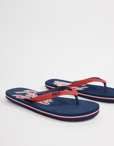 Сине-красные шлепанцы с логотипом Polo Ralph Lauren Wittlebury - Темно-синий