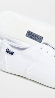 Sperry Sayel Clew Washed Canvas Sneakers