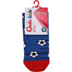 Носки Conte-kids Tip-Top