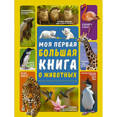 Моя первая большая книга о животных Издательство АСТ