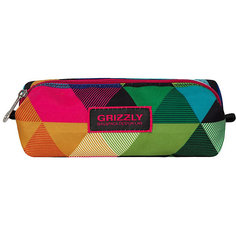 Пенал Grizzly, разноцветный