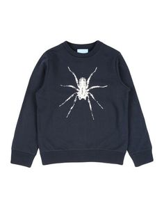 Толстовка Lanvin