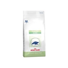 Корм для кошек Royal Canin