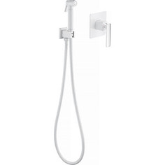 Смеситель с гигиеническим душем Timo Torne хром-белый (4389/00-16SM)