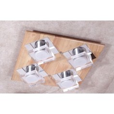 Потолочный светильник Lucia Tucci Natura 073.4 LED