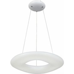 Подвесной светодиодный светильник ST-Luce SL960.053.01