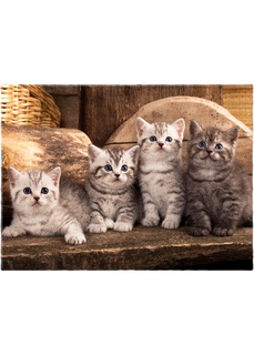 Коврик для двери Китти Bonprix