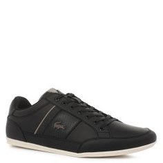 Кеды LACOSTE CMA0021 CHAYMON 319 1 черный