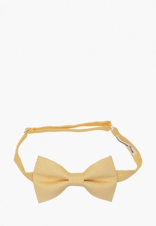 Бабочка Rainbowtie