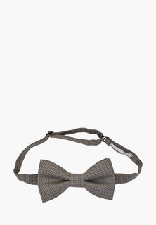 Бабочка Rainbowtie