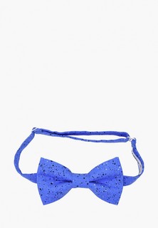 Бабочка Rainbowtie
