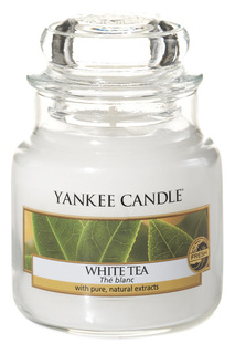 Свеча маленькая Белый чай YANKEE CANDLE