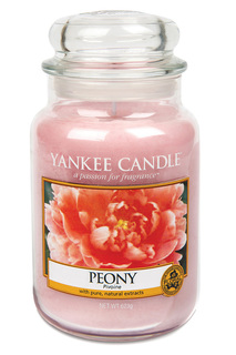 Свеча большая Пион YANKEE CANDLE