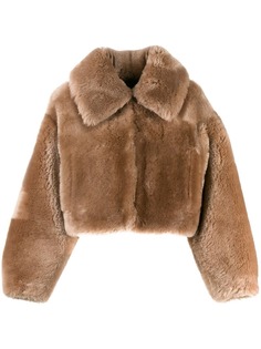Одежда Blancha