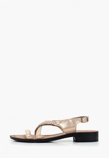 Сандалии T.Taccardi