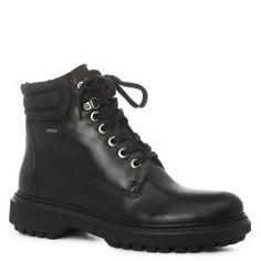 Ботинки GEOX D84AYC черный