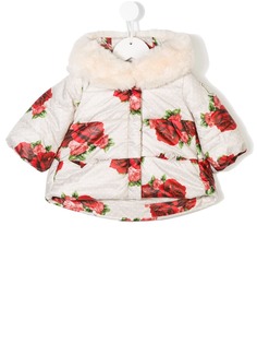 Одежда для девочек (0-36 мес.) Monnalisa