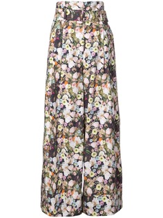 Одежда Adam Lippes