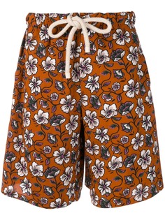 Одежда Loewe