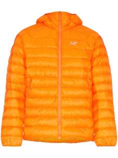 Спортивная одежда Arcteryx