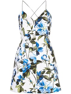 Одежда Alice+Olivia