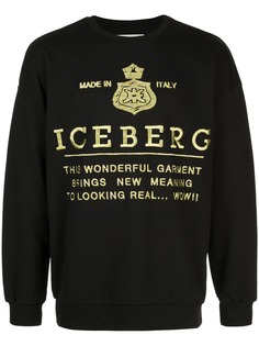 Одежда Iceberg