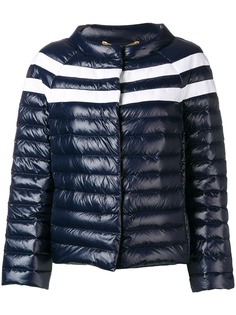Одежда Escada Sport