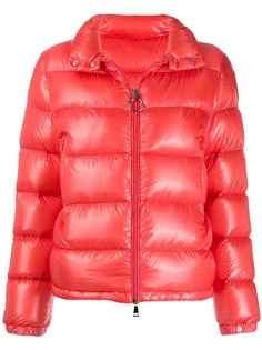 Одежда Moncler